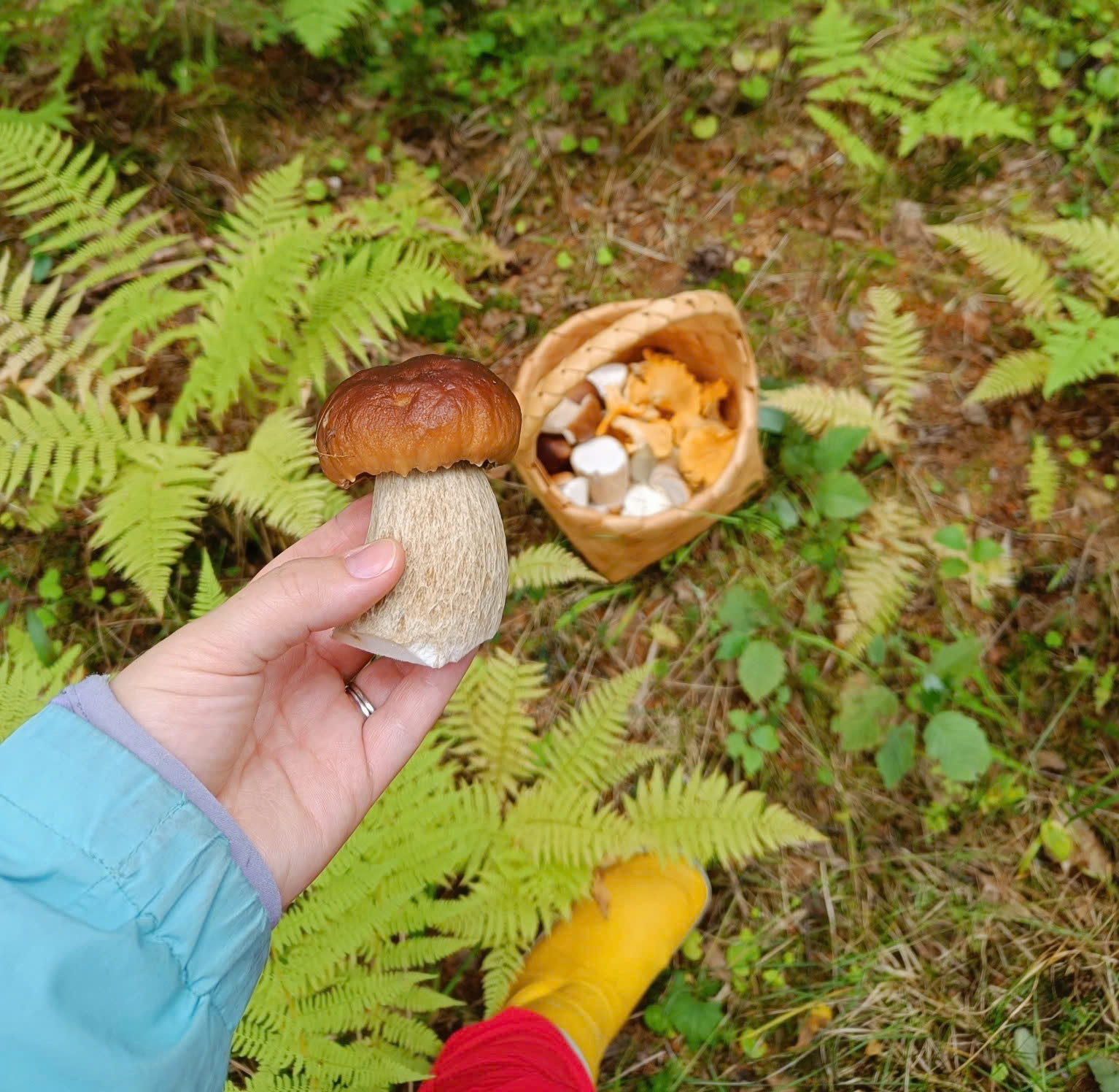 Tư vấn Đầu tư